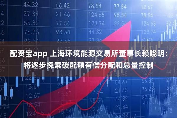 配资宝app 上海环境能源交易所董事长赖晓明：将逐步探索碳配额有偿分配和总量控制